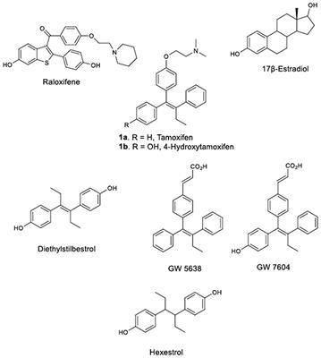 Novel Carbonyl Analogs of Tamoxifen: Design, Synthesis, and Biological Evaluation